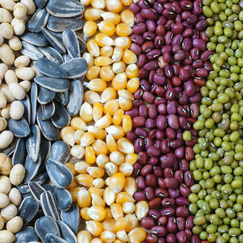 Automata vetőmag csomagoló gép